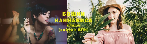 mix Инта